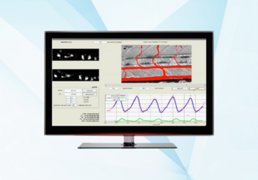 microzebralab