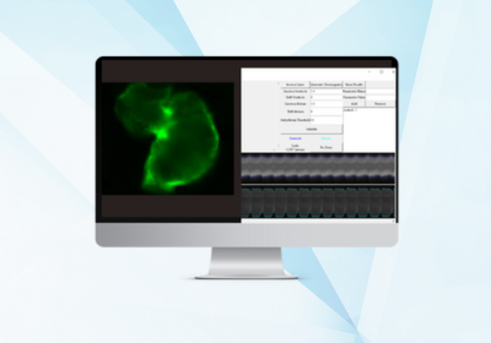 zebrafish-cardiac