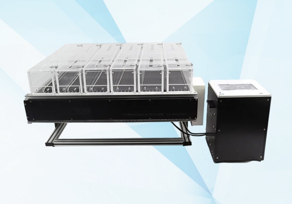 rodent+treadmill